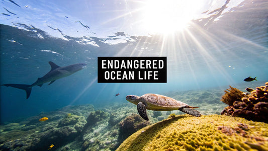 Top 10 Endangered Marine Animals List You Need to Know
