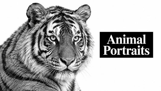 5 Animal Portrait Black and White Ideas
