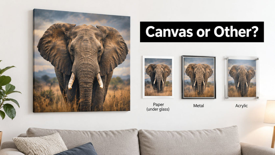 Animal Prints on Canvas: Is It the Right Format?