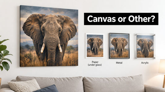 Animal Prints on Canvas: Is It the Right Format?