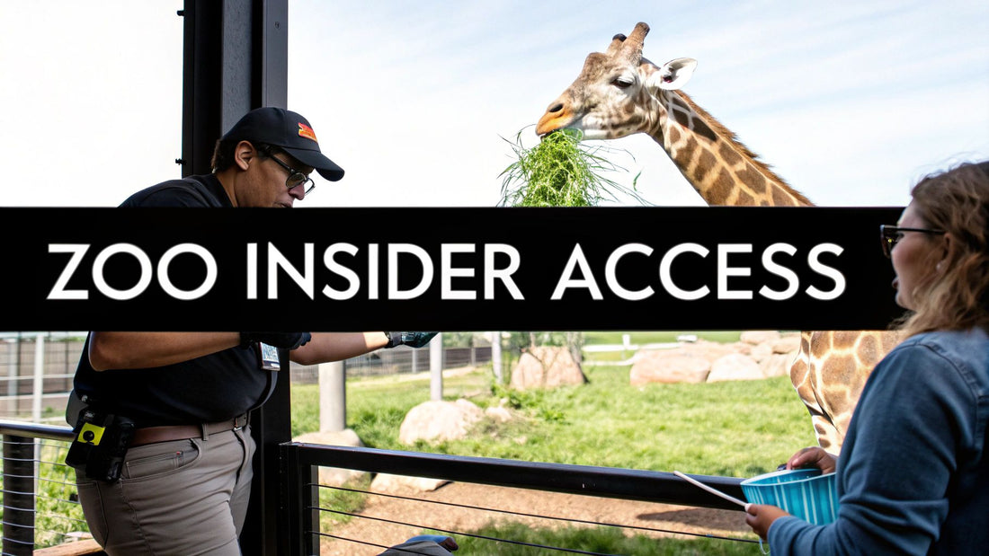 Your Guide to Behind The Scenes Zoo Tours