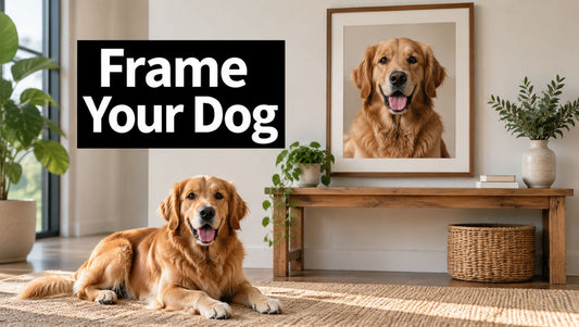 Framed Dog Pictures: How to Choose and Display