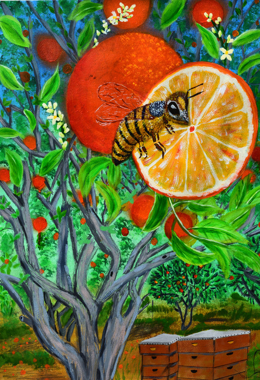 Citrus Bees