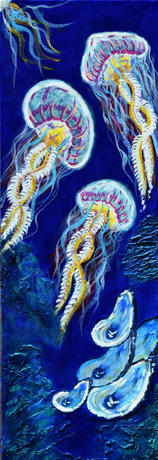 Jelly Fish Swimming