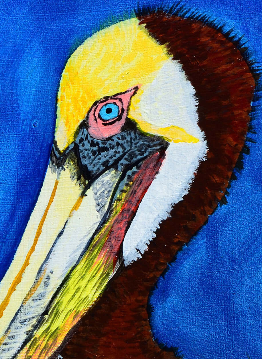 New Orleans artist animal painting of a colorful pelican on blue background by William Tucker Art